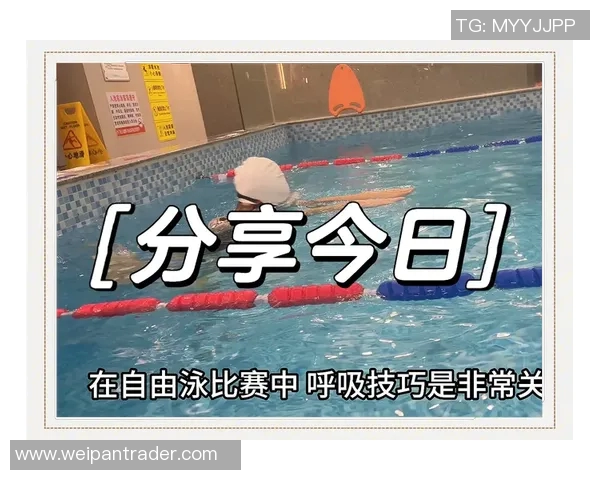 自由泳呼吸技巧全面解析与常见问题解决方法